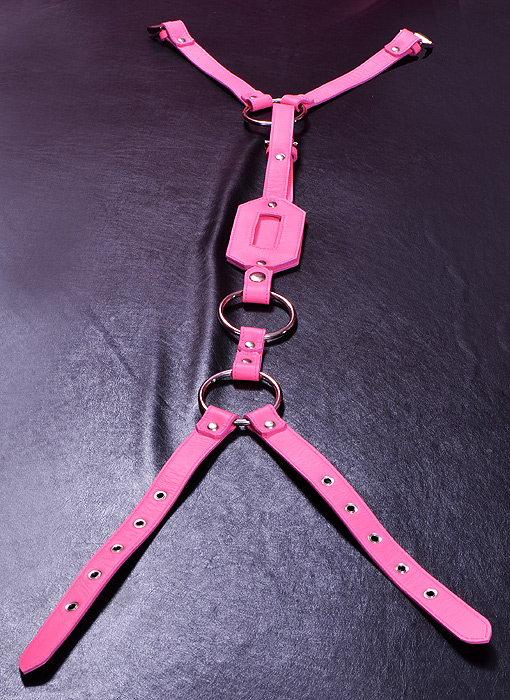 plug harness 01 bon036